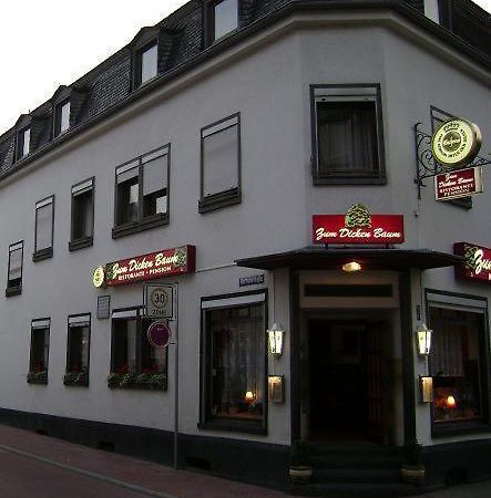 Hotel Zum Dicken Baum Mayen Eksteriør bilde